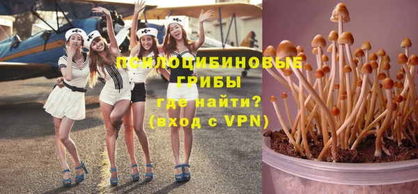 Альфа ПВП Волоколамск